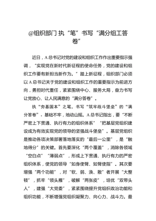 @组织部门 执“笔”书写“满分组工答卷”