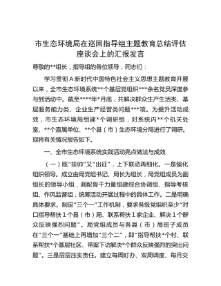 市生态环境系统在巡回指导组主题教育总结评估座谈会上的汇报发言4300字