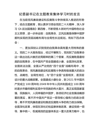 纪委副书记在主题教育集体学习时的发言2600字
