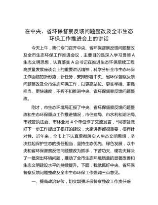 在环保督察反馈问题整改及全市生态环保工作推进会上的讲话