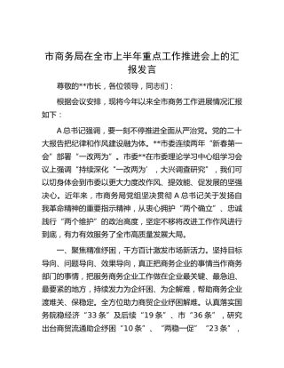 市商务局在上半年重点工作推进会上的总结汇报发言