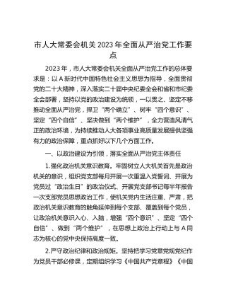市人大2023年全面从严治党工作要点