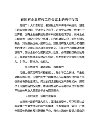 在国企公司宣传工作会议上的典型发言