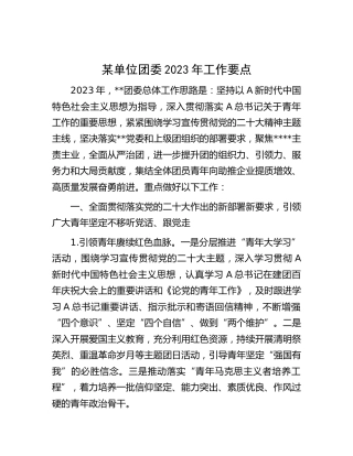 单位团委2023年工作要点