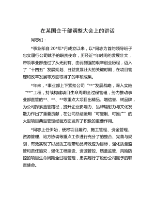 在国企公司干部调整大会上的讲话