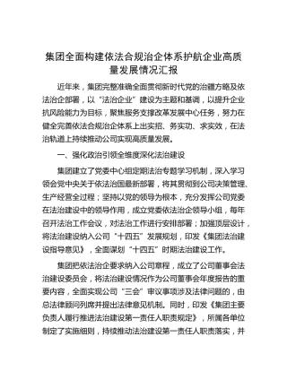 全面构建依法合规治企体系护航企业高质量发展情况汇报（公司）(1)