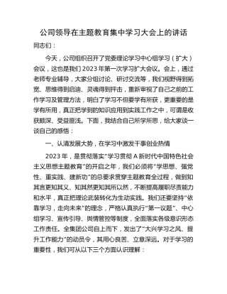 在公司主题教育集中学习大会上的讲话