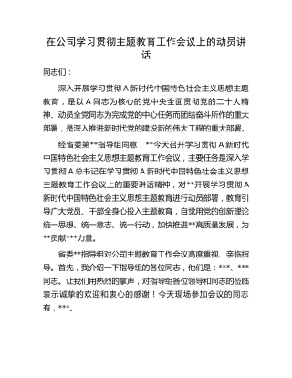 在公司学习贯彻主题教育工作会议上的动员讲话