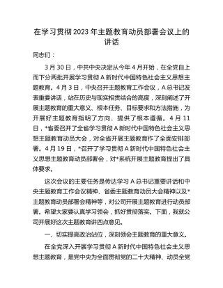 在公司学习贯彻2023年主题教育动员部署会议上的讲话
