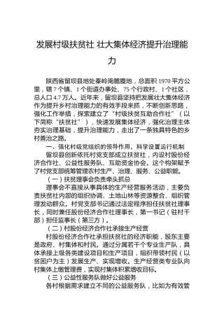 发展村级扶贫社 壮大集体经济提升治理能力