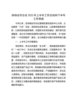 供销社2023年上半年工作总结和下半年工作思路