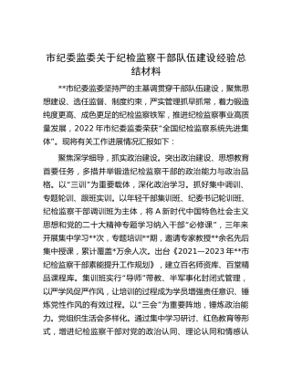 市纪委监委关于纪检监察干部队伍建设经验总结