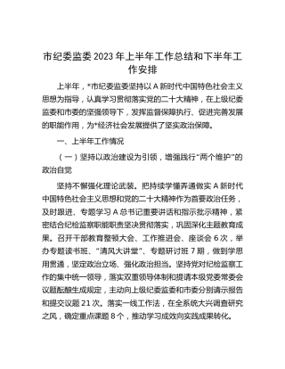 市纪委监委2023年上半年工作总结