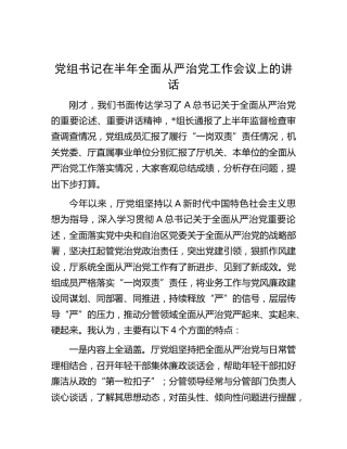 党组书记在上半年全面从严治党工作会议上的讲话
