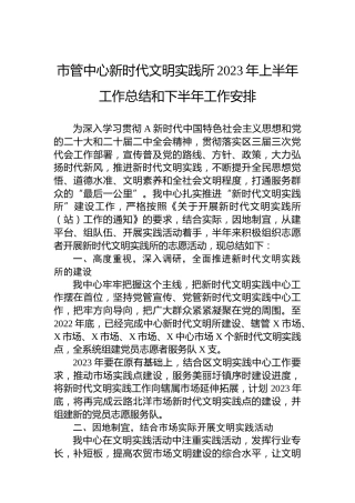 市管中心新时代文明实践所2023年上半年工作总结和下半年工作安排 (2)