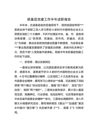 党组班子2023年上半年抓党建述职报告