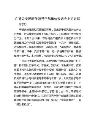 在公安系统新任领导干部集体谈话会上的讲话