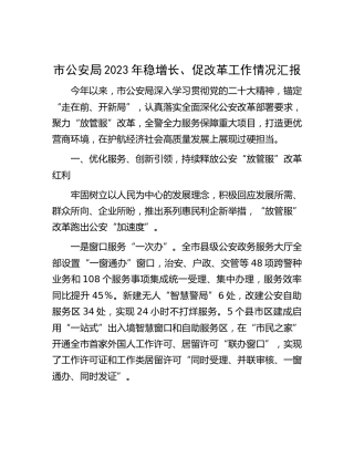 市公安局2023年稳增长、促改革工作情况汇报