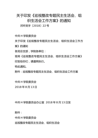 关于印发《巡视整改专题民主生活会、组织生活会工作方案》的通知