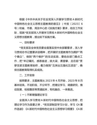 党支部主题教育实施方案