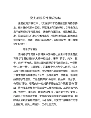 党支部主题教育阶段性情况总结
