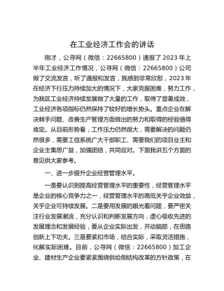 在工业经济工作会的讲话