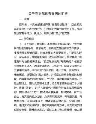 党支部优秀案例汇报（党建经验）
