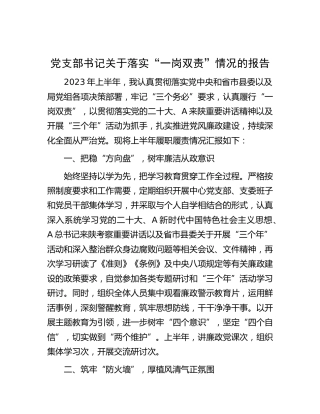 党支部书记落实“一岗双责”情况总结报告