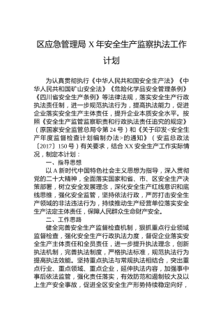区应急管理局 安全生产监察执法工作计划
