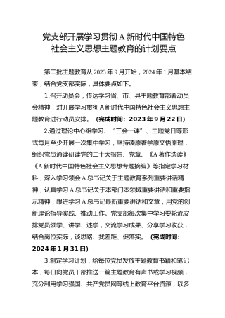 党支部开展主题教育计划要点1300字