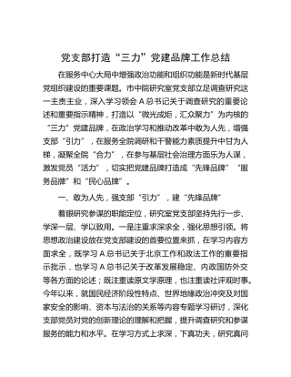 党支部打造“三力”党建品牌工作总结2300字
