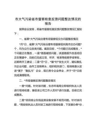 市大气污染省市督察检查反馈问题整改情况的报告