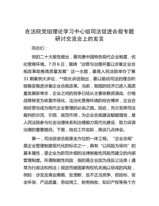 在法院中心组司法促进合规专题研讨交流会上的发言