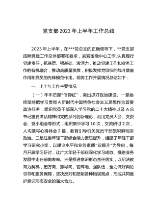 党支部2023年上半年（党建）工作总结