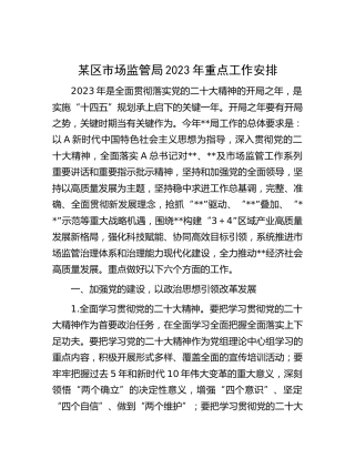 市场监管系统2023年重点工作安排（计划）