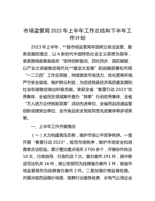 市场监管局2023年上半年工作总结和下半年工作计划 (2)
