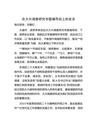 在大兴调查研究专题辅导班上的研讨发言