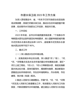市碧水保卫战2023年工作方案