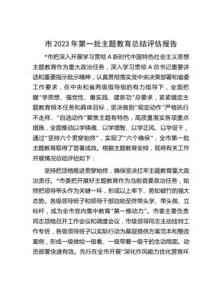 市2023年第一批主题教育总结评估报告