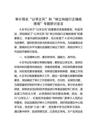 审计系统“以学正风”和“树立和践行正确政绩观”专题研讨发言