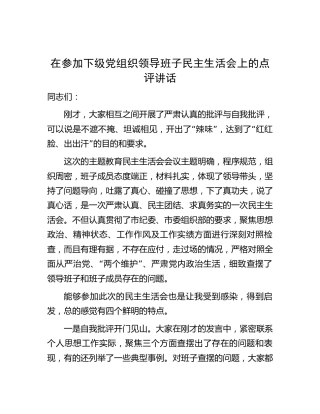 在参加下级党组织主题教育民主生活会上的点评讲话