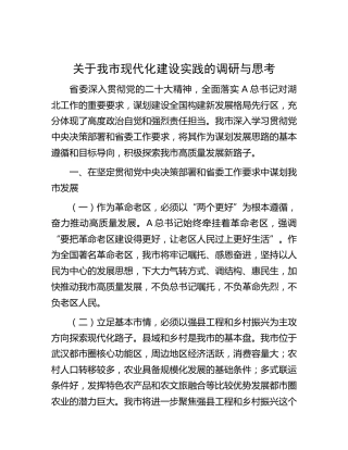 我市现代化建设实践的调研与思考（调研报告）