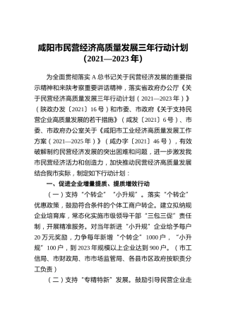 市民营经济高质量发展三年行动计划（2021—2023年）