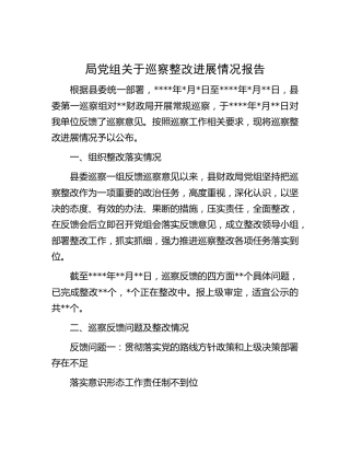 局党组关于巡察整改进展情况总结报告2500字