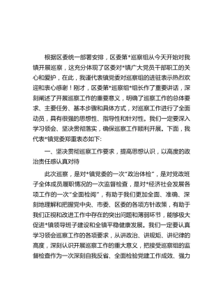 在乡镇巡察工作动员会上的表态发言