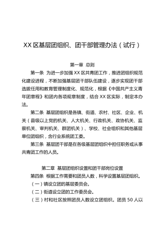 基层团组织、团干部管理办法