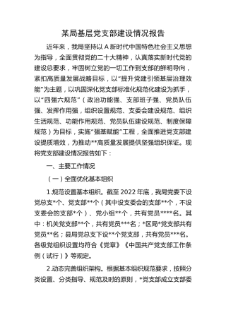 基层党支部建设情况总结报告