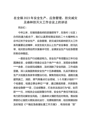 在乡镇2023年安全生产、应急管理、防灾减灾及森林防灭火工作会议上的讲话