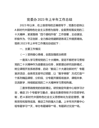 党委办2023年上半年工作总结（3100字党建总结）