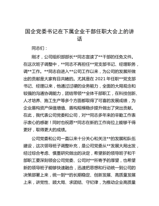 在下属企业干部任职大会上的讲话（公司）